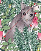 melco-fabrics-online-fabric-store-print-on-demand-australia-Bush Baby White Christmas Fabric - The Scenic Route