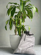 *FREE Limited Edition Santa Sack (Personalised)-Melco Fabrics-online-fabric-shop-australia